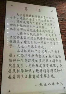 发现了大自然的奥秘作文,我发现了大自然的奥秘作文300字,大自然的奥秘三年级作文