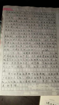 关于牵动感情的作文开头