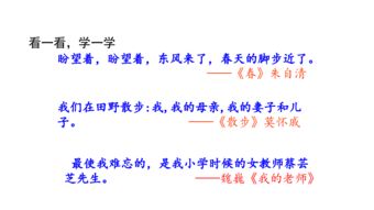 关爱的作文的开门见山的开头