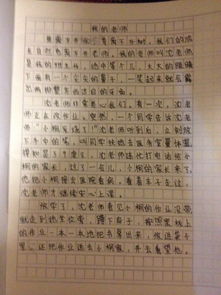 一点点作文600字作文开头结尾