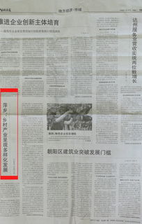 关于乡村振兴的调研报告(关于乡村振兴的调研报告)