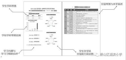 自我分析形成报告(自我评价的形成分析)