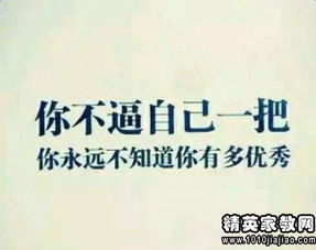 环保问题寒假社会实践报告范文( 环保问题寒假社会实践报告范文)