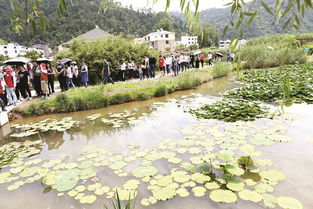 人工快渗处理牛湖河水的实践(复合快渗系统处理生活污水的模拟试验研究)