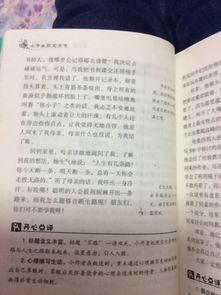 小学作文开头设置悬念例子