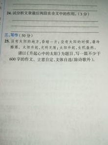 我心中的太阳记叙文600字作文开头