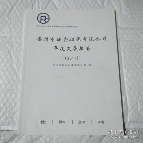 担保公司年度总结报告(投资担保公司年度年终工作总结报告)