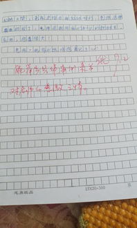 那一次老师帮助了我作文开头结尾怎么写