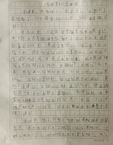 关于清明节的作文开头,清明节作文开头结尾,清明节作文开头新颖