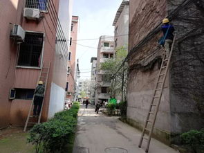 创卫生城市建大美广丰作文开头