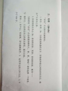 六级启示600字作文开头