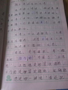 关于画画的开头作文四百字