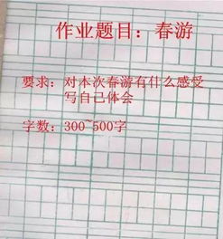 我什么什么的人的作文600字作文开头