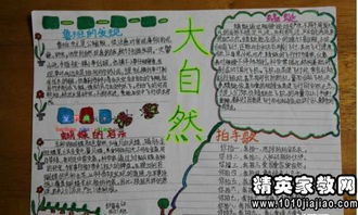 有启示的作文600字作文开头