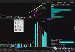 股票技术分析知识总结(教你掌握股票技术分析)