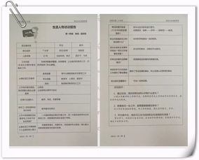 大学生人物访谈报告总结(大学生实习总结报告)