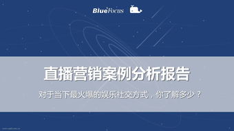 营销案例分析报告(红牛营销案例分析报告)