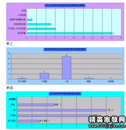 大学生手机使用情况调查报告(情况大学生手机使用调查报告)