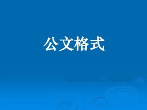 公文决定范文(决定公文的格式)
