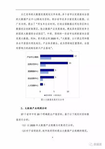 规划报告(规划总结报告)