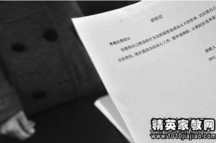 公文报告的格式(公文命令的格式)