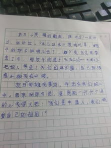 没有把握好机会的作文开头