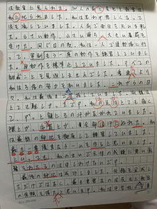 关于手的作文300字左右(关于能手的作文400字左右)