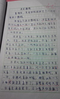 心爱之物作文400字的开头