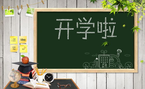 开学第11周作文开头