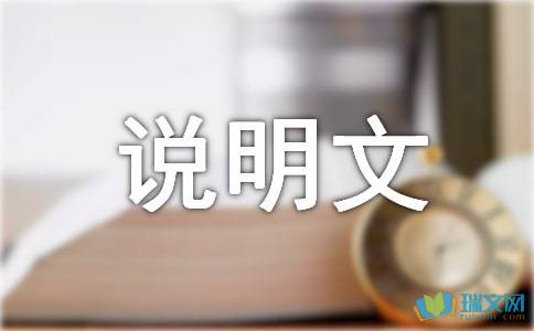 钓鱼的开头作文400字