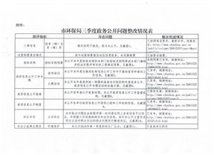 政务公开自查整改报告(年政务公开自查整改报告（条例） )