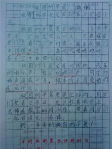 校园的秋天初一500字作文开头结尾