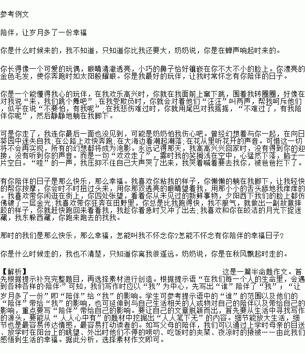 陪伴让我多了一分温暖作文开头结尾