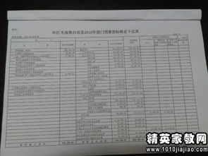 经费自查报告(经费自查报告)