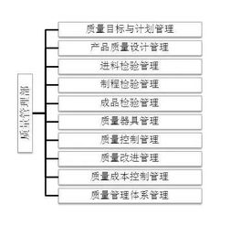 职能管理岗位职责(职能管理部职责)