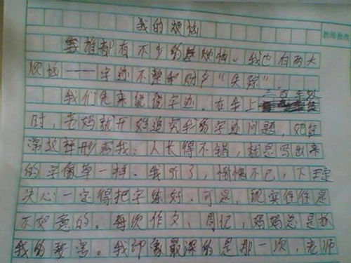 作文什么的故事600字作文开头