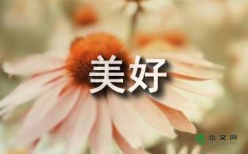 在这里遇见美好作文600字作文开头