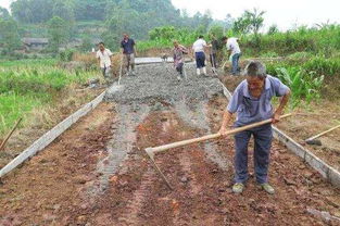 农村水泥路修路申请报告（精选）(农村水泥路修路申请报告)