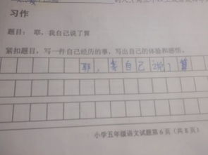 写一件经历的事的作文开头