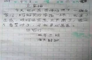 诗文中的情和理作文开头