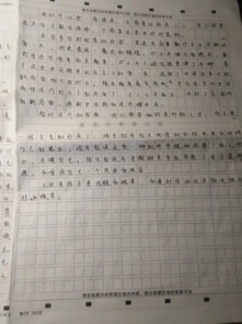 生活要有诗和远方作文800字作文开头