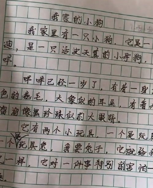 小学作文怎么写开头结尾