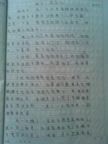 作文留在记忆中的温暖600字作文开头