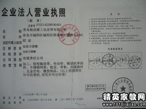 语文小学高级教师专业述职报告范文(小学语文高级教师述职报告范文)