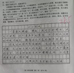 总起全文的作文开头6