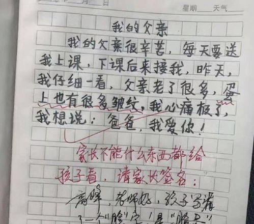 其实我很懂你老师作文600字作文开头