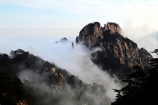 黄山,作文,开头,小学