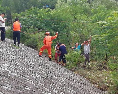 大雨无情人有情作文开头