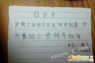 有关医生的辞职信【汇总】(有关医生的辞职信)