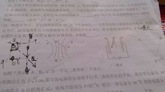 有关舍得的作文开头